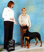 Kira's Best Puppy in Breed